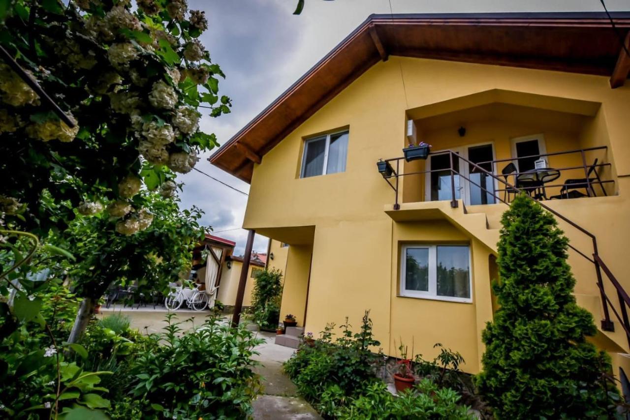 Casa Ana Villa Călimăneşti Kültér fotó